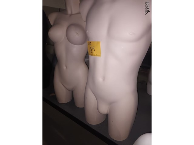 Lot 85 - huidskleur torso man en vrouw - afbeelding 4 van  4