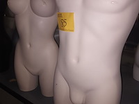 Lot 85 - huidskleur torso man en vrouw - afbeelding 4 van  4
