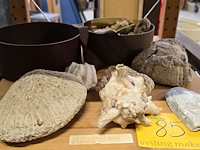 Lot 85 - lotje mineralen, schelpen en speciale stenen - afbeelding 1 van  3