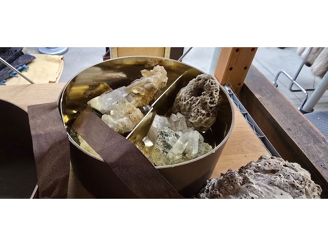 Lot 85 - lotje mineralen, schelpen en speciale stenen - afbeelding 2 van  3
