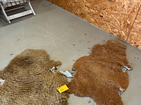 Lot 85 - schapenvacht lambskin bruine - afbeelding 1 van  2