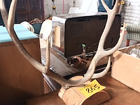 Lot 865 - gewei van edelhert - afbeelding 2 van  4