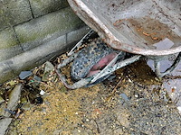 Lot 87 - kruiwagen - afbeelding 2 van  3