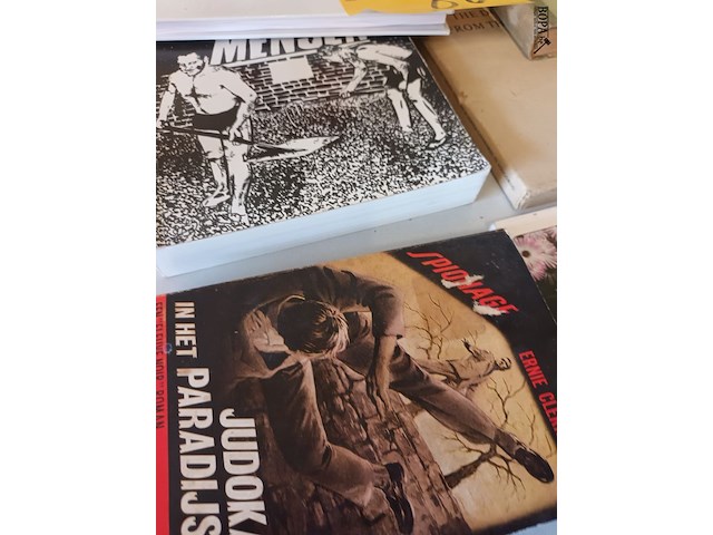 Lot 88 - boeken. 11 stuks - afbeelding 2 van  4