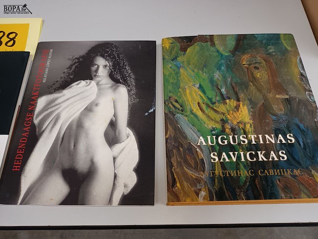 Lot 88 - kunstboeken. 4 stuks - afbeelding 3 van  3