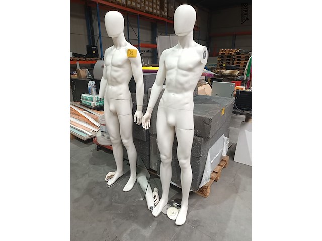 Lot 89 - etalagepop. 2 stuks - afbeelding 1 van  3