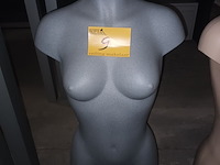Lot 9 - grijze torso vrouw - afbeelding 2 van  2