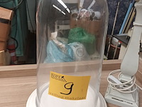 Lot 9 - tafellamp en glazen stolp - afbeelding 2 van  3