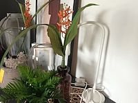 Lot 90 - decoratie. 13 stuks - afbeelding 4 van  4