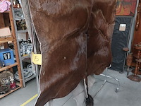 Lot 95 - paardenhuid uit ‘84 - afbeelding 1 van  3