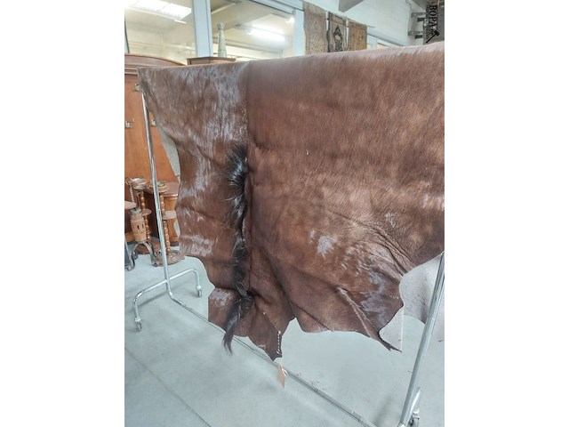 Lot 95 - paardenhuid uit ‘84 - afbeelding 2 van  3