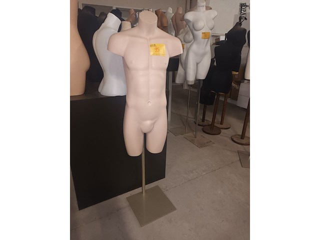 Lot 95 - paspop torso man op statief - afbeelding 2 van  3