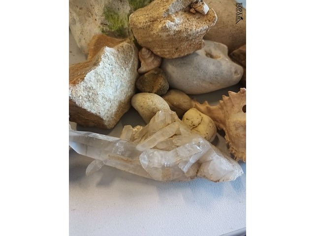 Lot 97 - bergkristal, schelpen en stenen. 15 stuks - afbeelding 2 van  3