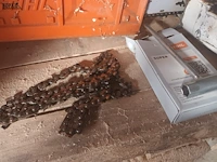 Lot 97 - kettingzaag stihl - afbeelding 3 van  4