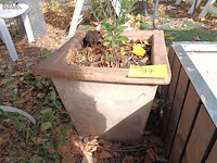 Lot 97 - terracotta bloempot - afbeelding 1 van  3