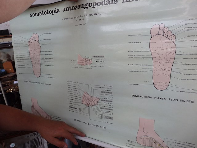 Lot affiches dokter - afbeelding 2 van  3