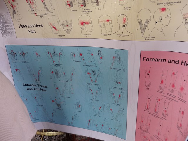 Lot affiches dokter - afbeelding 3 van  3