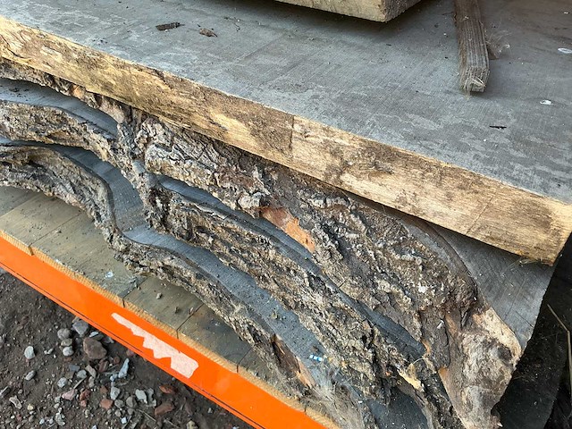 Lot beuken planken hardhout - afbeelding 6 van  6