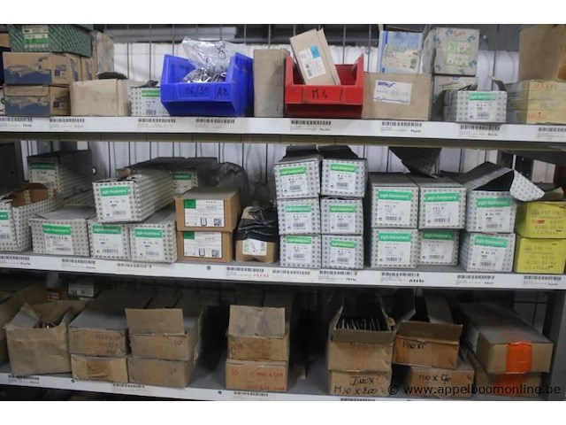 Lot bevestigingsmaterialen pgb-fasteners, diverse schroeven, bouten, moeren en pluggen, diverse maten, in dozen en bakken - afbeelding 2 van  6