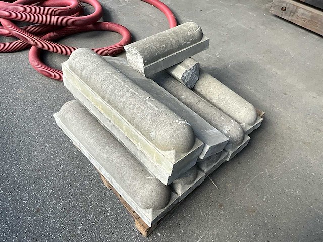 Lot biggenruggen - afbeelding 2 van  2