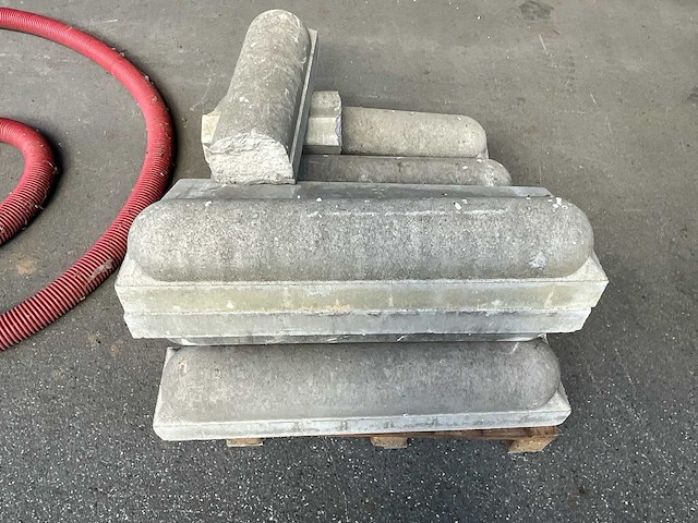 Lot biggenruggen - afbeelding 1 van  2