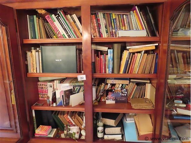 Lot boeken en diversen volgens foto - afbeelding 1 van  3