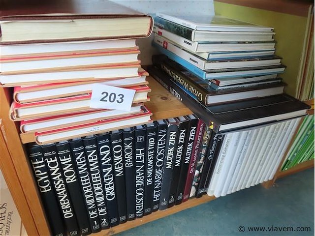 Lot boeken volgens foto's - afbeelding 2 van  3