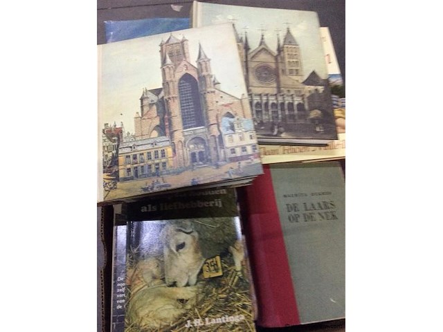 Lot boeken - afbeelding 2 van  2