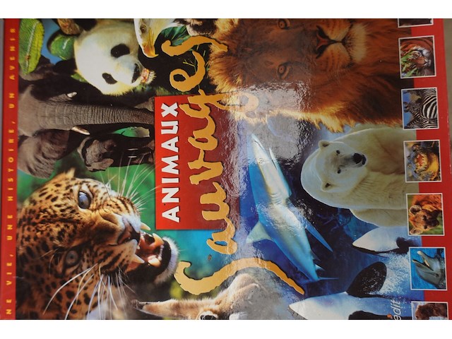 Lot boeken - afbeelding 3 van  8