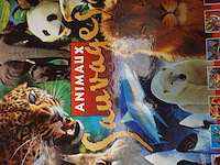Lot boeken - afbeelding 3 van  8