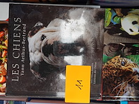 Lot boeken - afbeelding 5 van  8