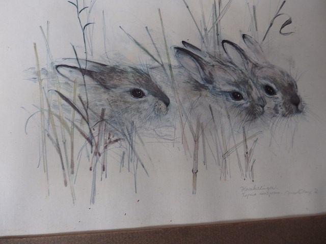 Lot dieren etsen - afbeelding 2 van  6