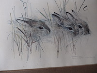 Lot dieren etsen - afbeelding 2 van  6