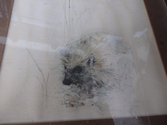 Lot dieren etsen - afbeelding 5 van  6