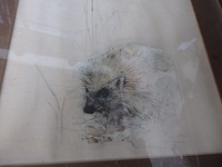 Lot dieren etsen - afbeelding 5 van  6