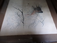 Lot dieren etsen - afbeelding 6 van  6