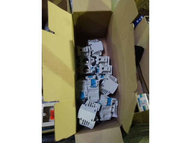 Lot diveren - afbeelding 5 van  9