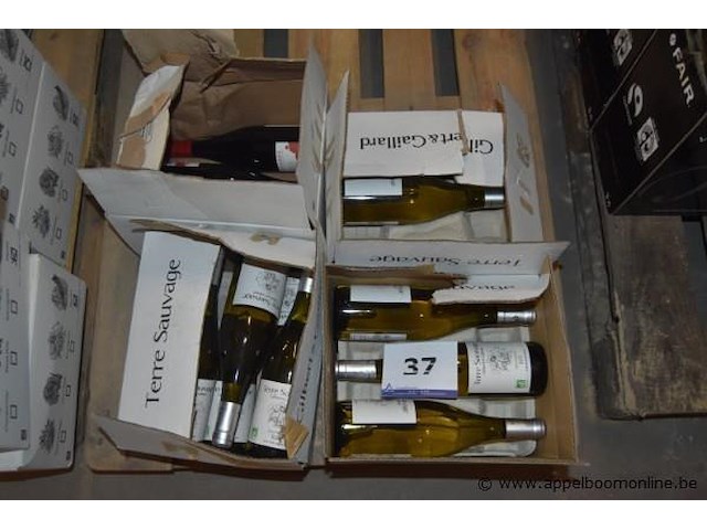 Lot diverse flessen wijn, gilbert & gaillard, wo. terre sauvage sauvignon pays d'oc, la clape, 750ml - afbeelding 1 van  4