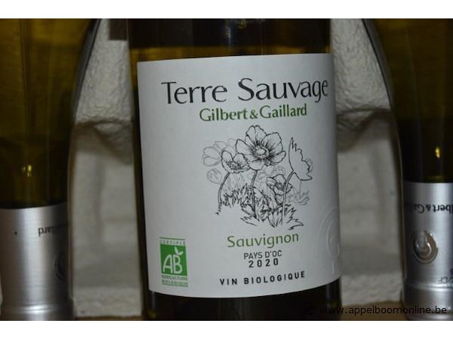 Lot diverse flessen wijn, gilbert & gaillard, wo. terre sauvage sauvignon pays d'oc, la clape, 750ml - afbeelding 2 van  4