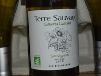 Lot diverse flessen wijn, gilbert & gaillard, wo. terre sauvage sauvignon pays d'oc, la clape, 750ml - afbeelding 2 van  4