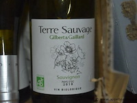 Lot diverse flessen wijn, gilbert & gaillard, wo. terre sauvage sauvignon pays d'oc, la clape, 750ml - afbeelding 3 van  4