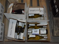 Lot diverse flessen wijn, gilbert & gaillard, wo. terre sauvage sauvignon pays d'oc, la clape, 750ml