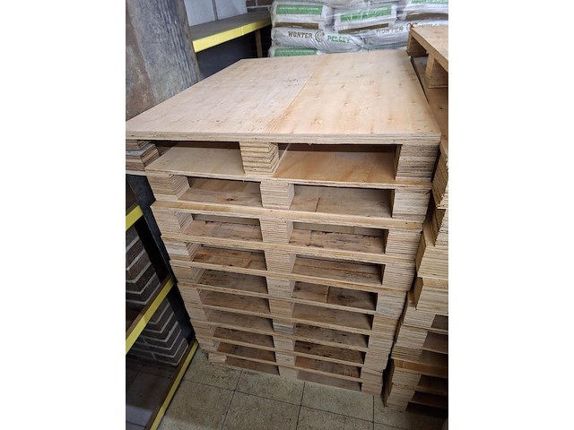 Lot diverse palletten ( 62 stuks) - afbeelding 3 van  3