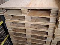 Lot diverse palletten ( 62 stuks) - afbeelding 3 van  3