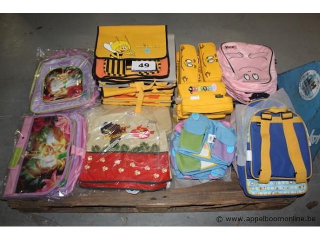 Lot diverse pennenzakken en rugzakken - afbeelding 1 van  1