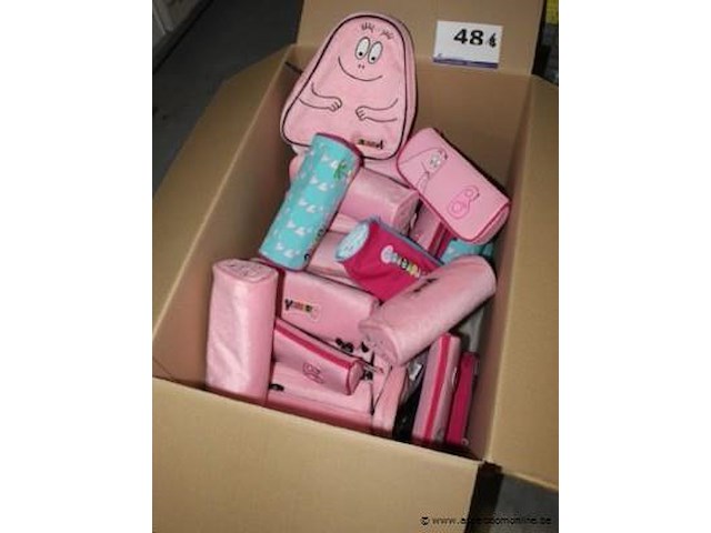 Lot diverse pennenzakken - afbeelding 1 van  1