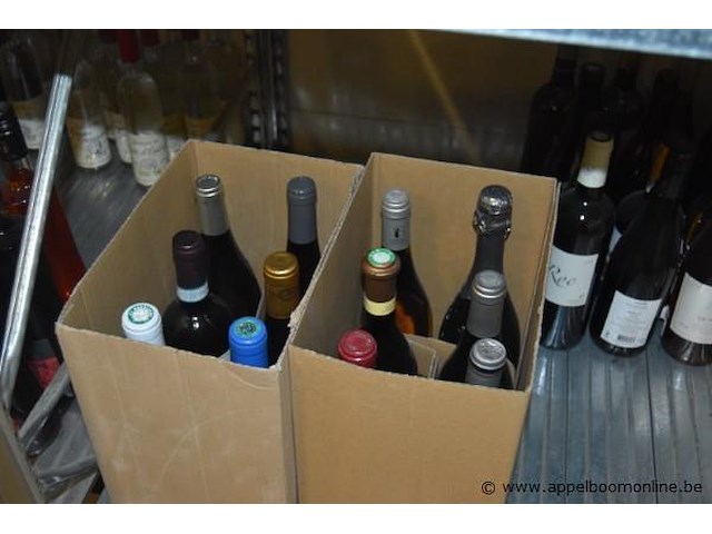 Lot diverse wijnen, wo. rode, rosé en mousserende wijn - afbeelding 4 van  4