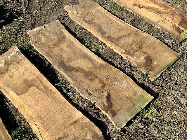 Lot eiken planken hardhout - afbeelding 4 van  7