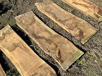 Lot eiken planken hardhout - afbeelding 4 van  7