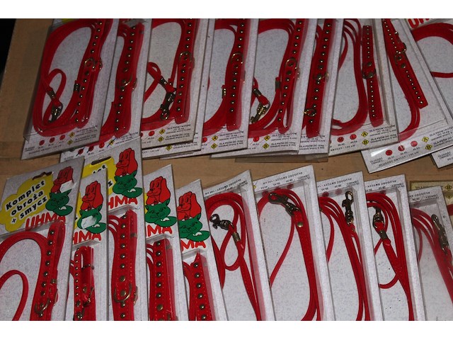 Lot hals- en leibandjes + eet/drinkbakken hond - afbeelding 1 van  4